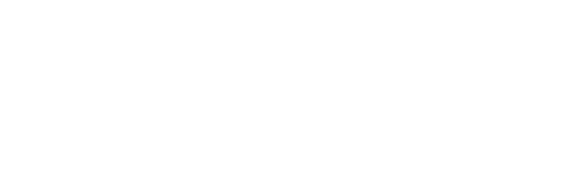 orion-laurentin - logo